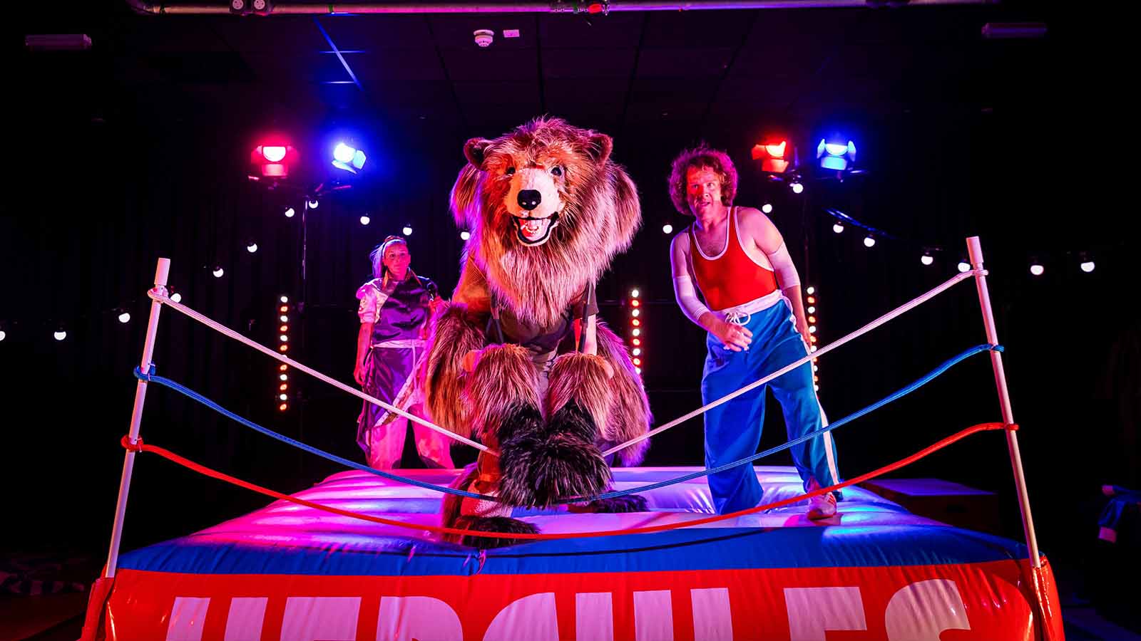 A boxing ring made up on a stage, in red and blue colours with stage lights and fairy lights festooned behind it. A large costume bear and a man dressed like a boxer stand in the middle, the bear is stepping over the ropes of the ring.