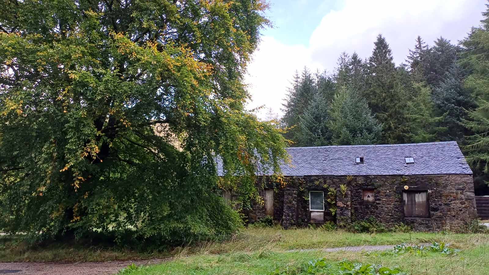 An old single storey stone building, the Inchree Barn, sits tucked away among overgrown grass and a large leafy tree, backed by a pine forest.